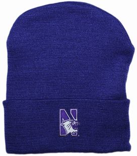 Northwestern Wildcats Newborn Baby Knit Cap